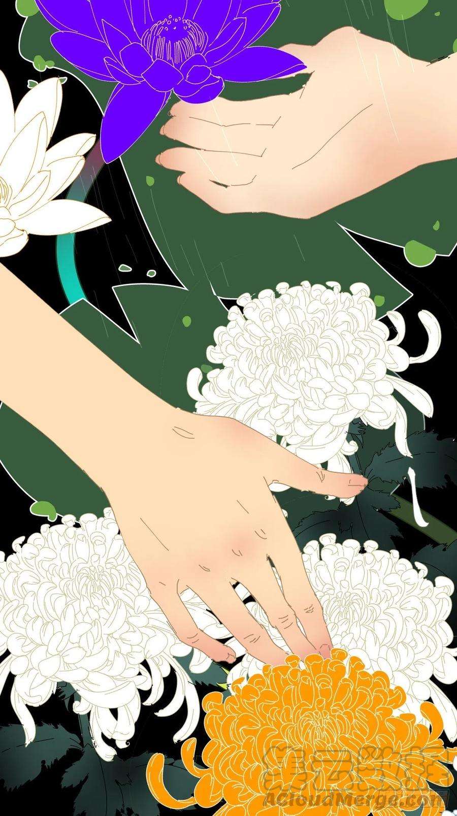 黑背信天翁28.你喜欢看烟花吗