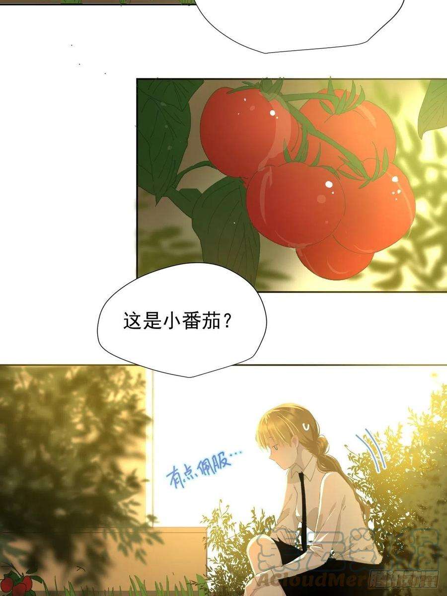 黑背信天翁34.已经到处是她的痕迹