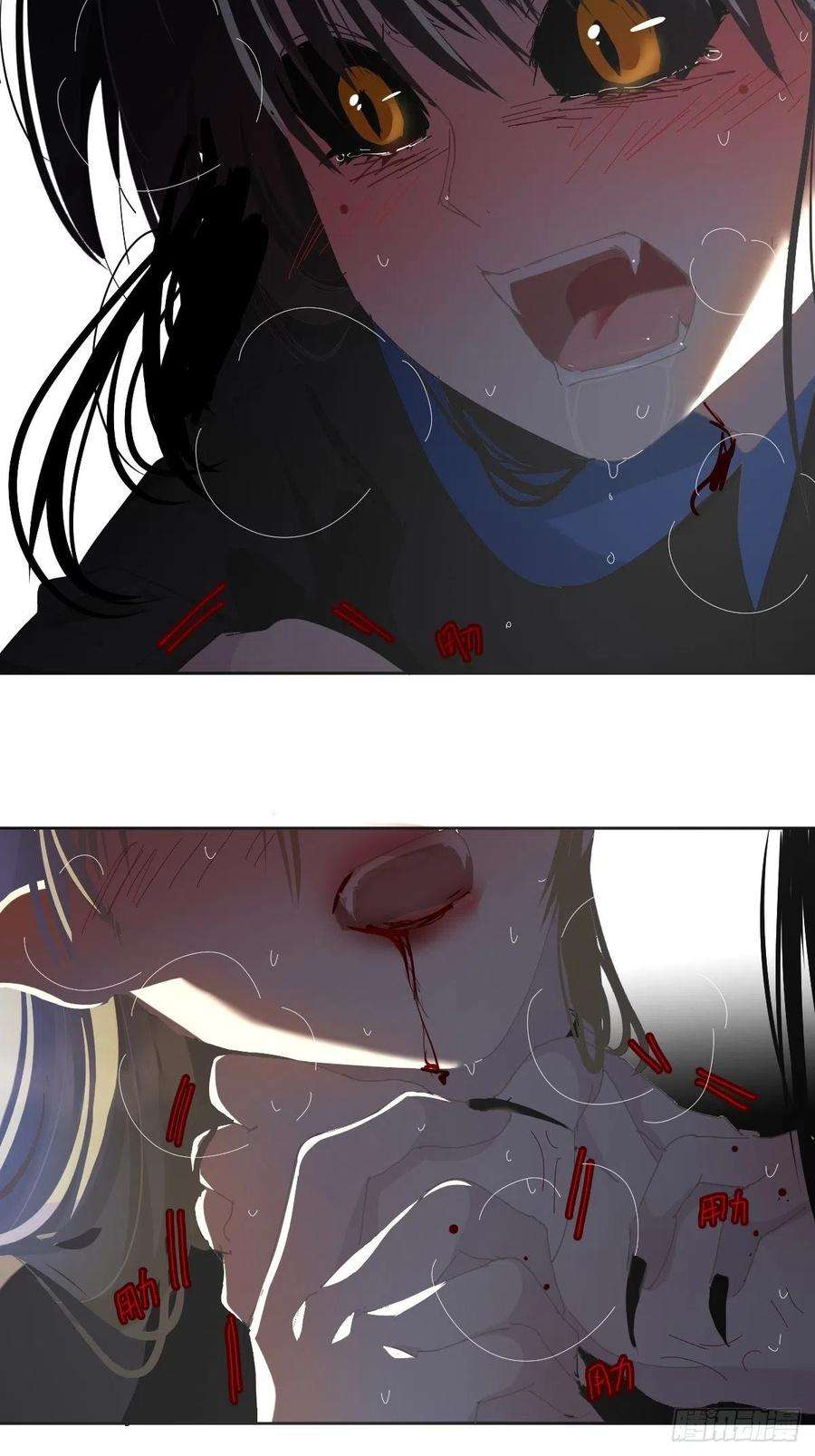 黑背信天翁31.不要走