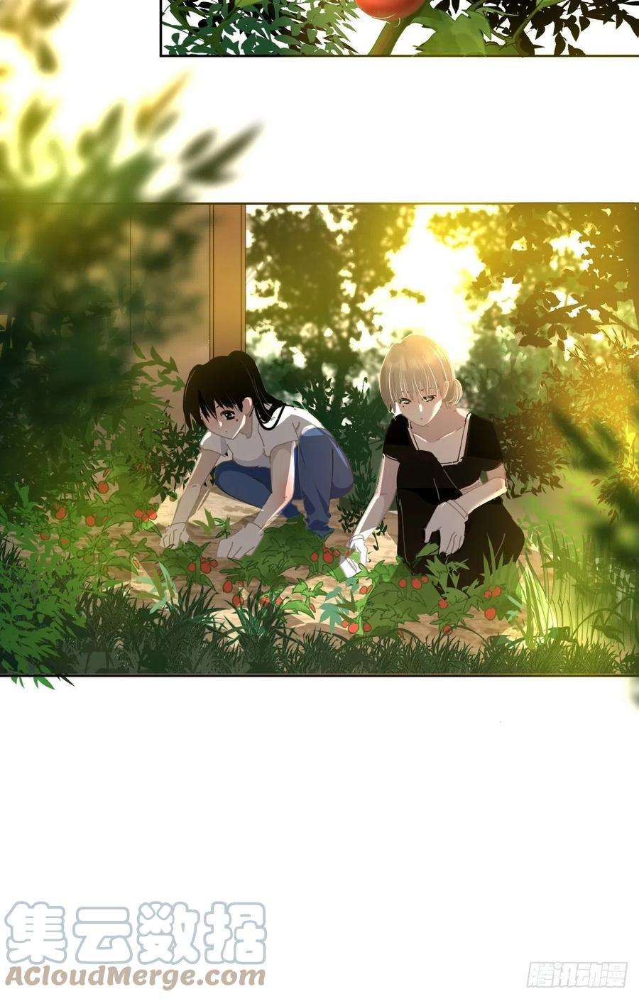 黑背信天翁49.卡罗拉