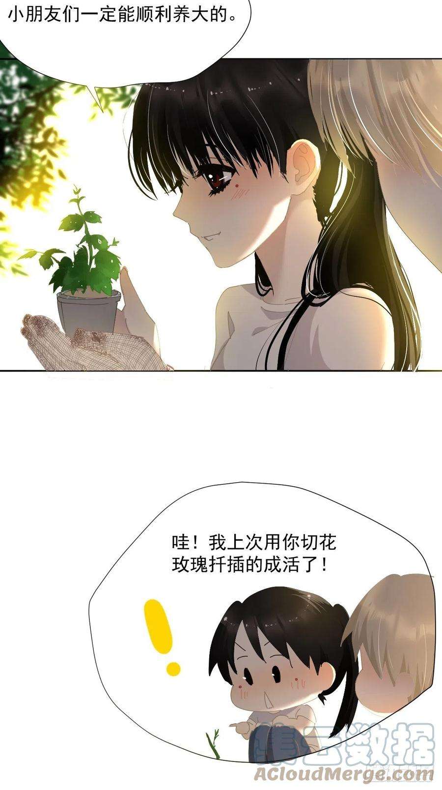 黑背信天翁49.卡罗拉