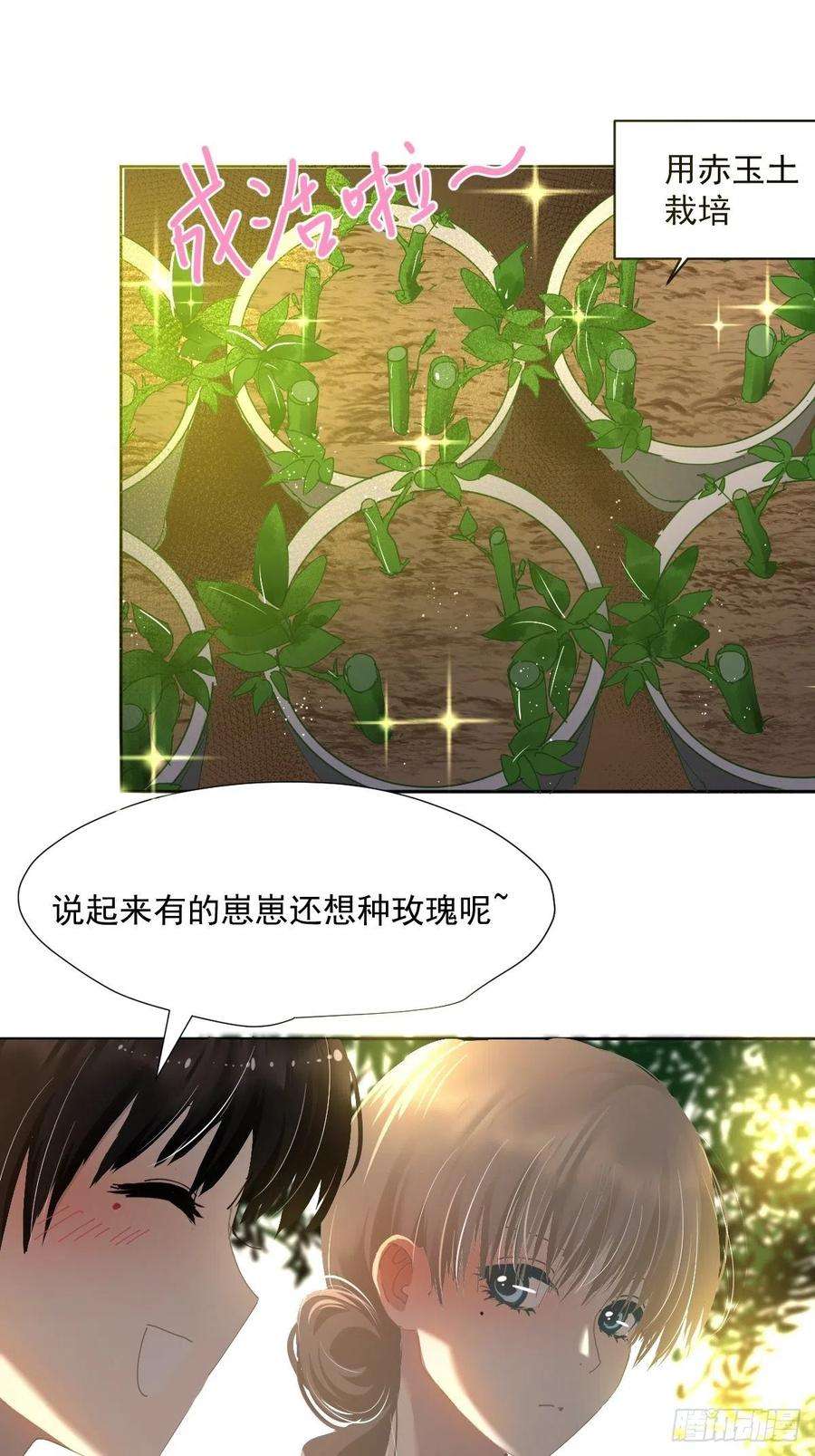 黑背信天翁49.卡罗拉