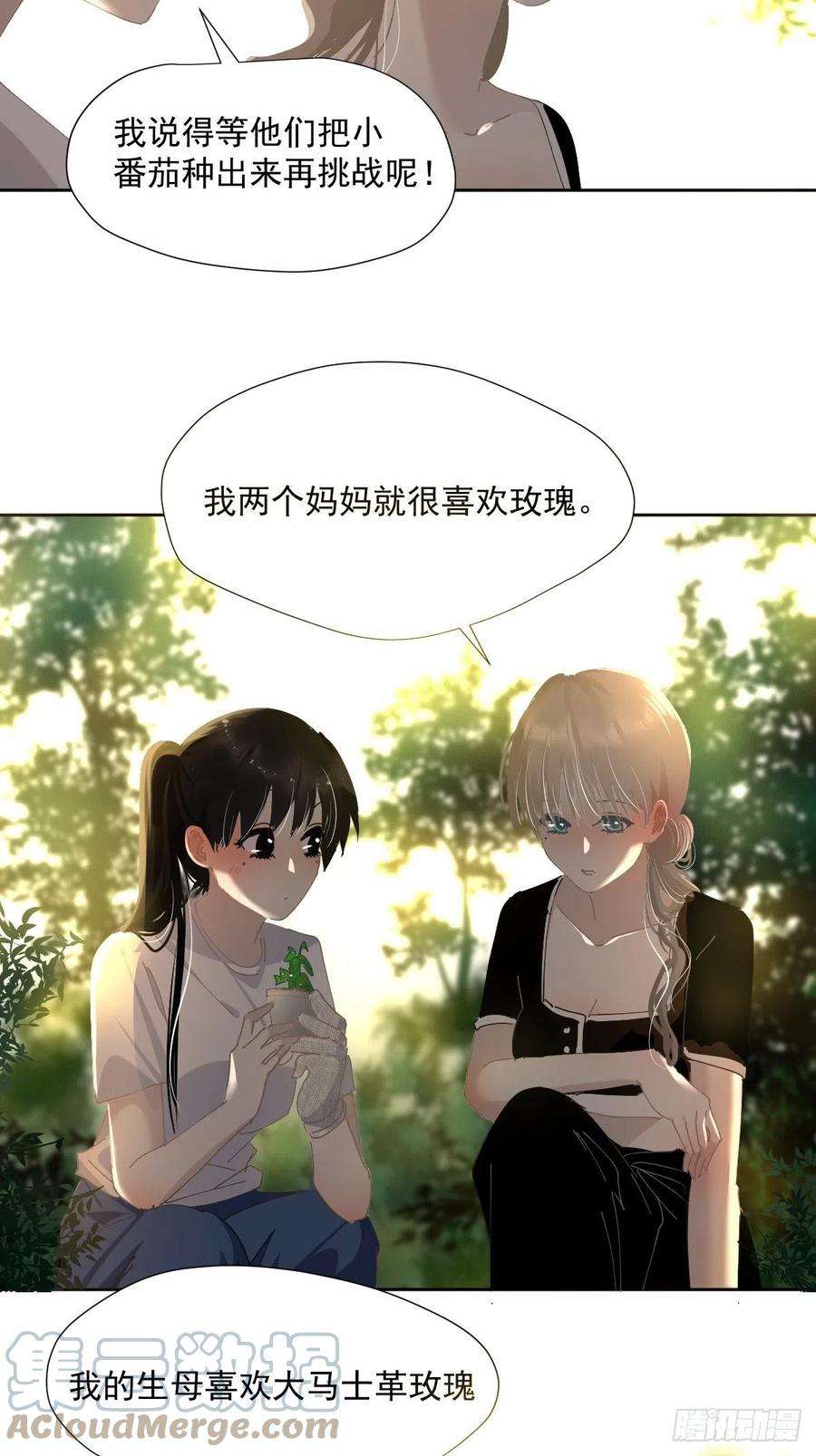 黑背信天翁49.卡罗拉