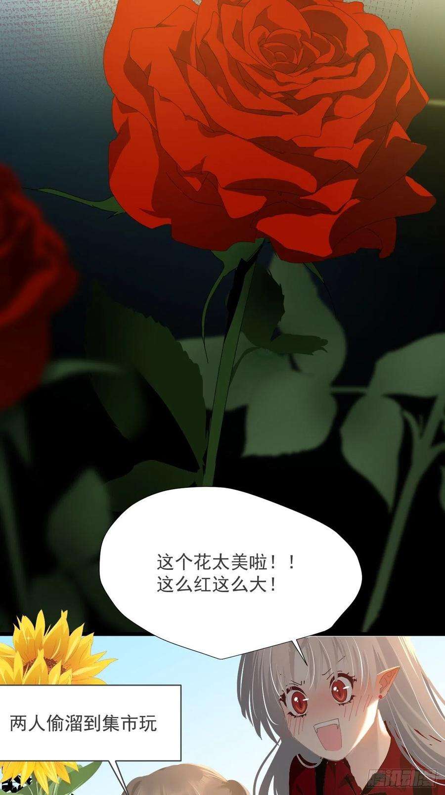 黑背信天翁49.卡罗拉