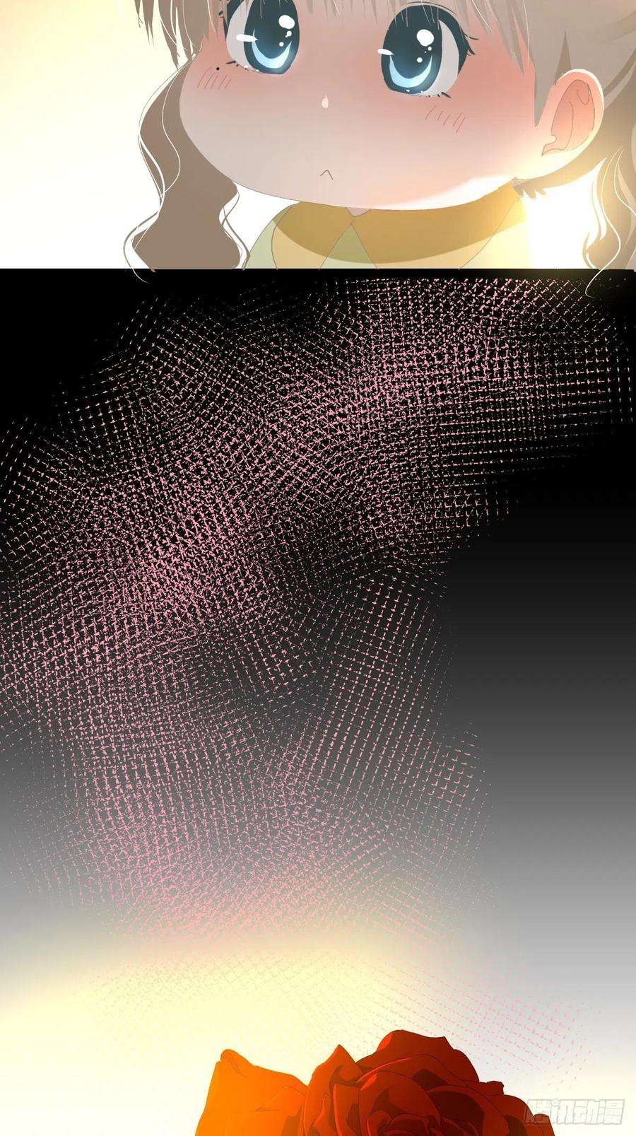 黑背信天翁49.卡罗拉