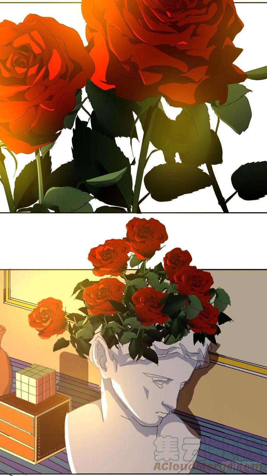 黑背信天翁49.卡罗拉