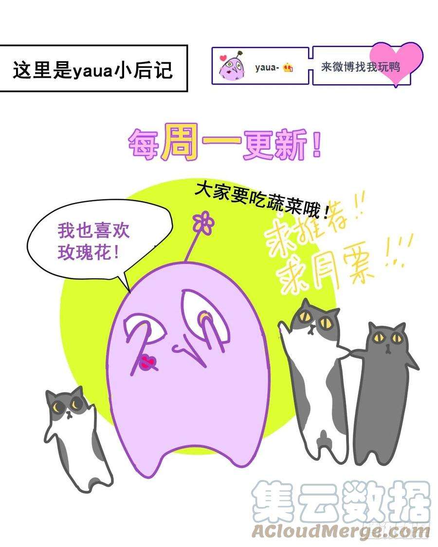 黑背信天翁49.卡罗拉