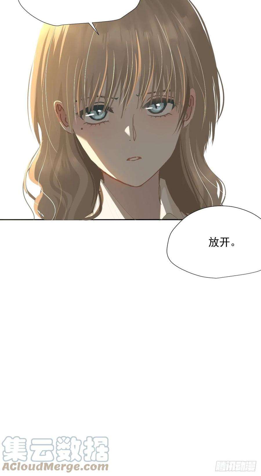 黑背信天翁55.放开