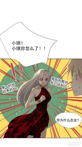 黑背信天翁56.放开我！