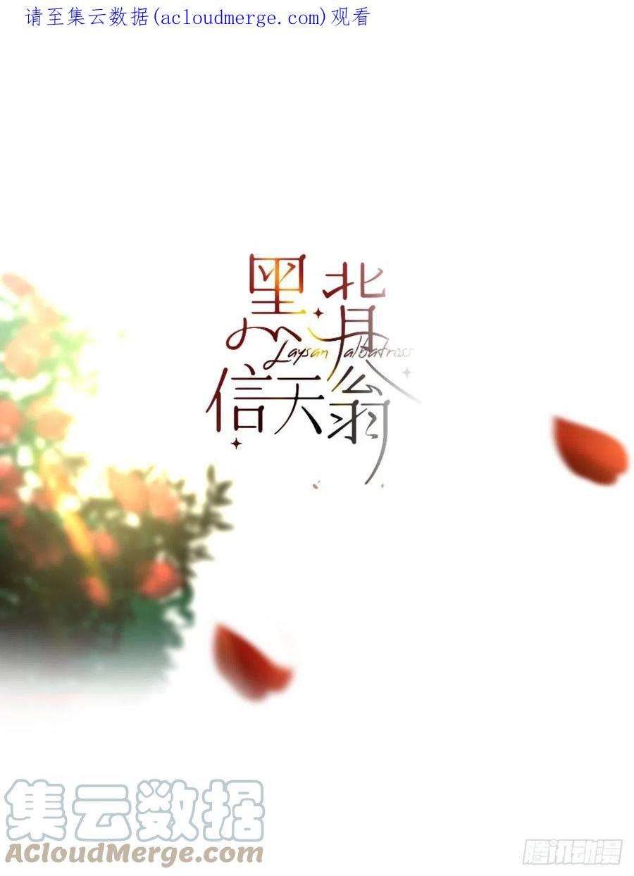 黑背信天翁57.你怎么了？