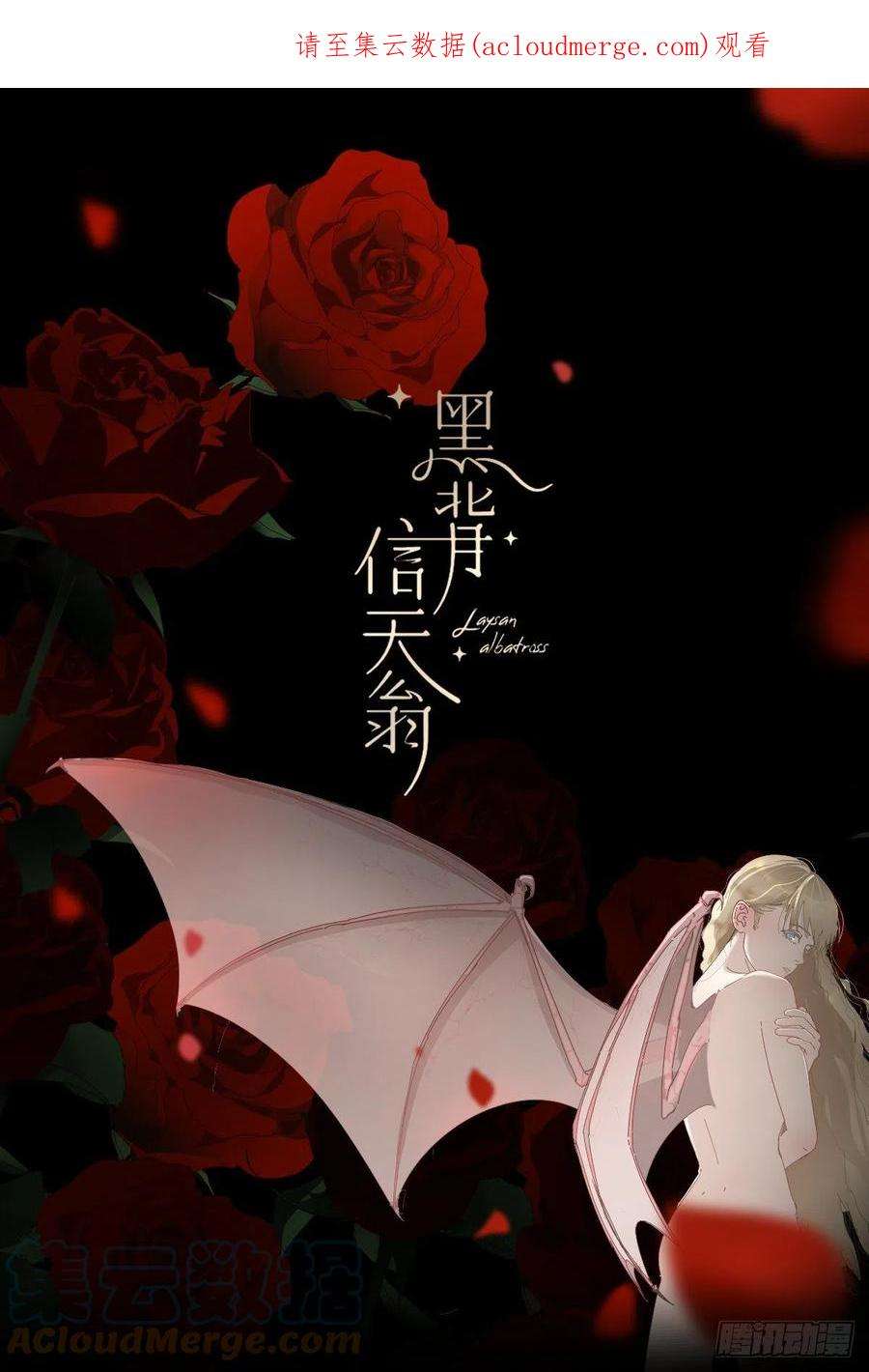 黑背信天翁58.谢谢你