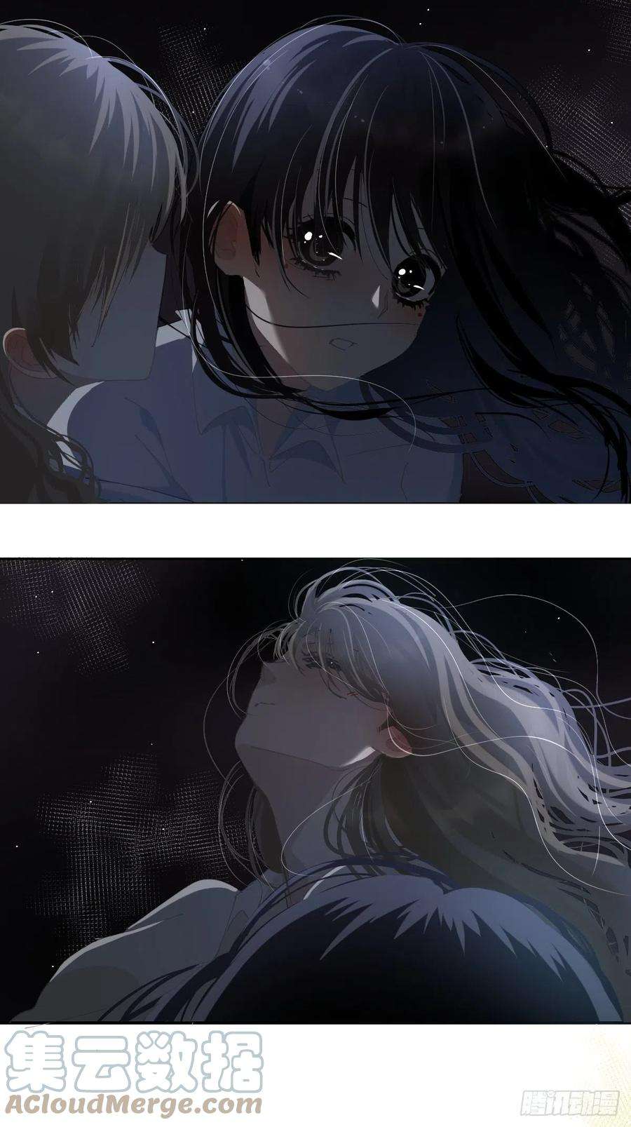 黑背信天翁58.谢谢你