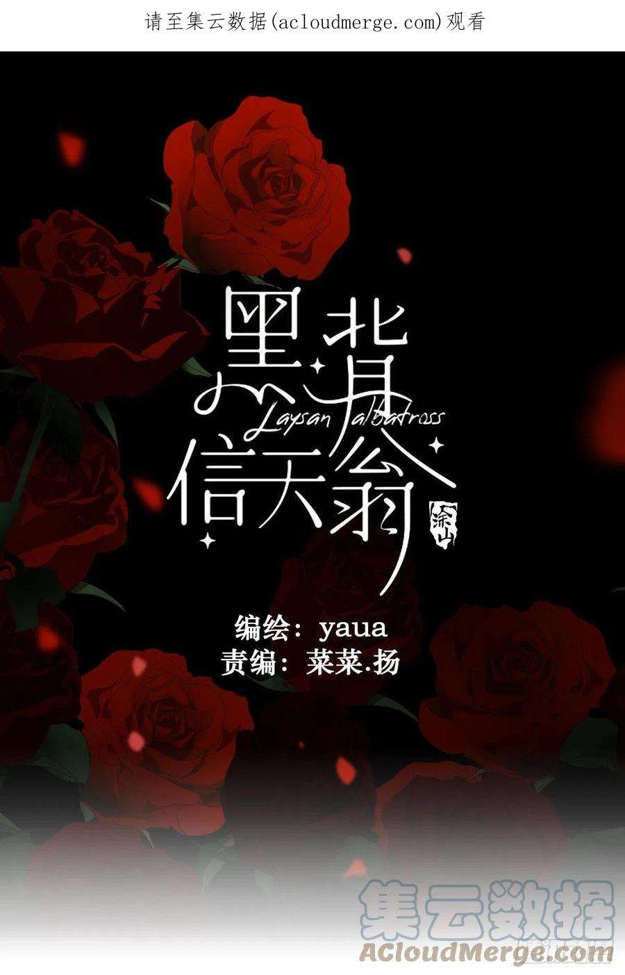 黑背信天翁60.你比我想象中要优秀啊