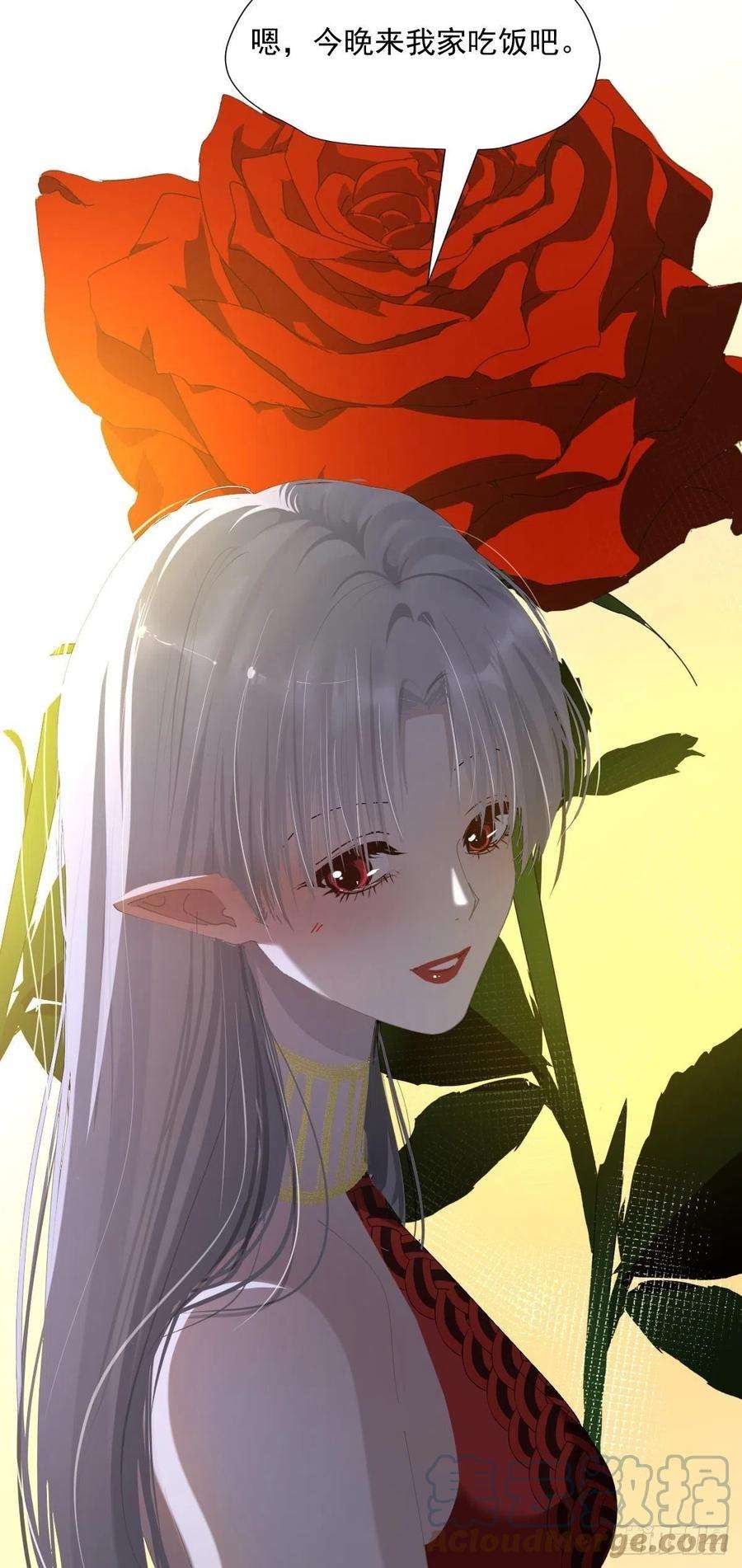 黑背信天翁60.你比我想象中要优秀啊