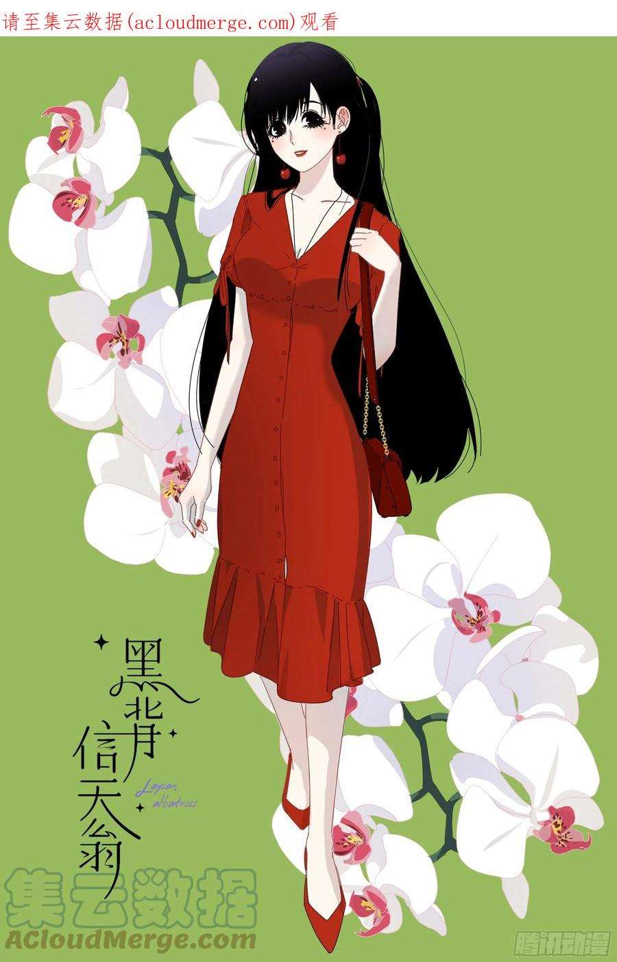 黑背信天翁61.我都不认同