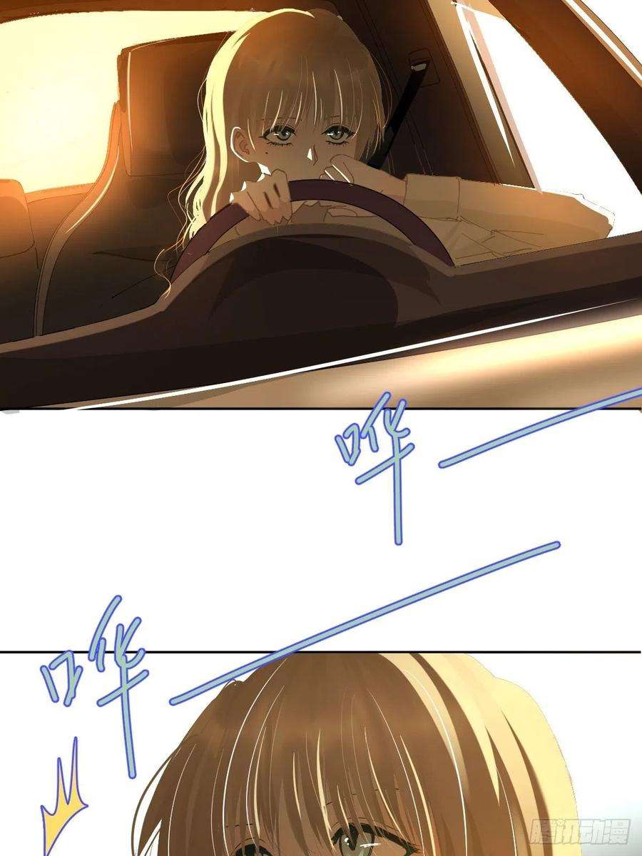 黑背信天翁62.诗诗老师