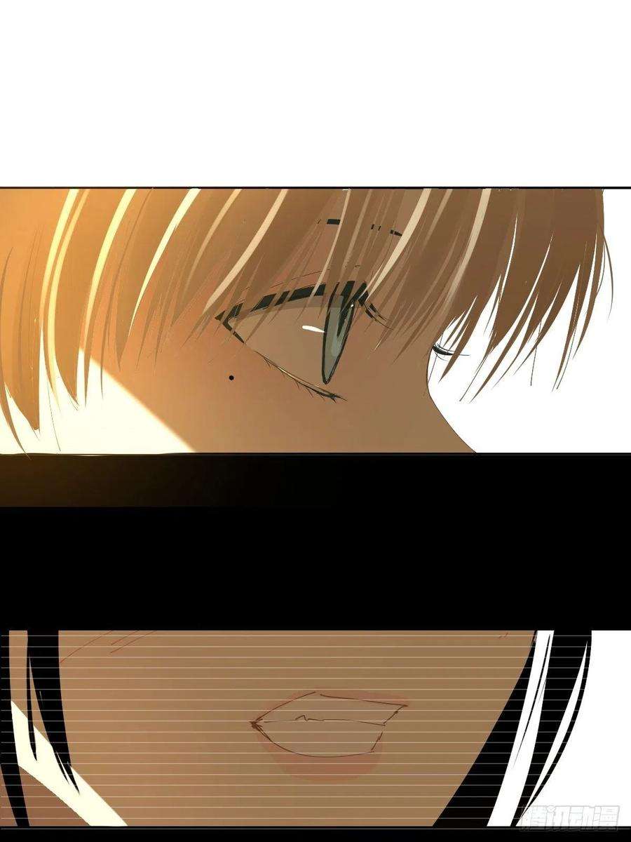 黑背信天翁62.诗诗老师