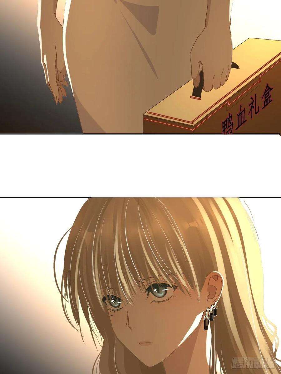 黑背信天翁62.诗诗老师