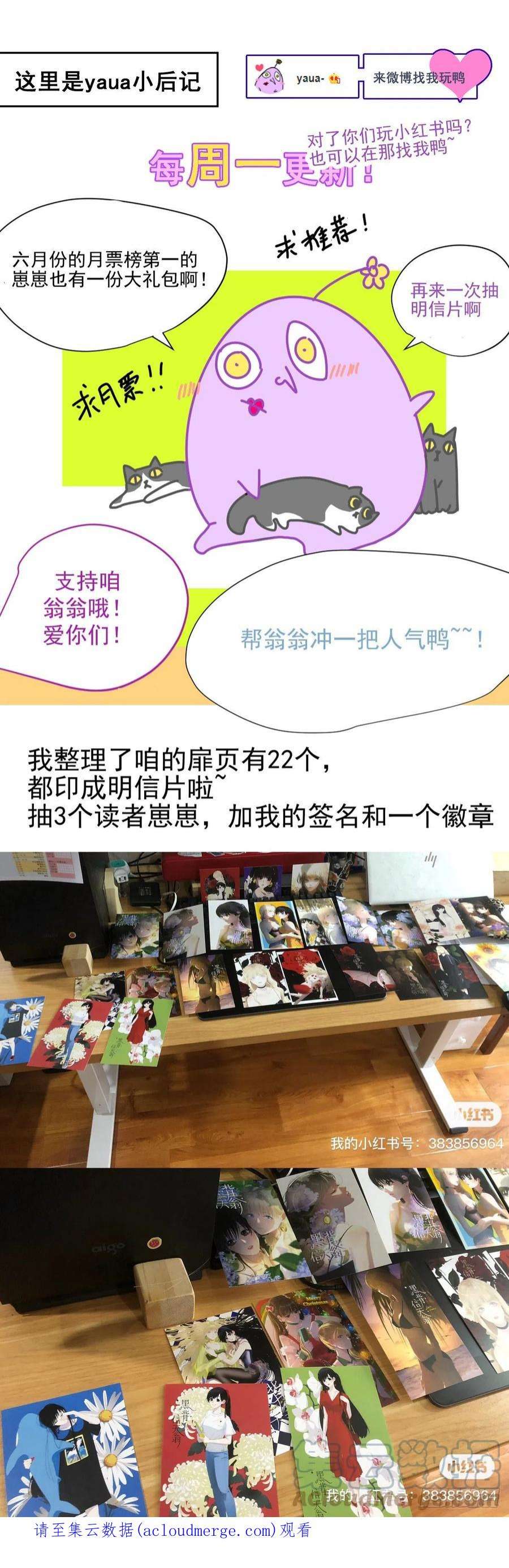 黑背信天翁62.诗诗老师