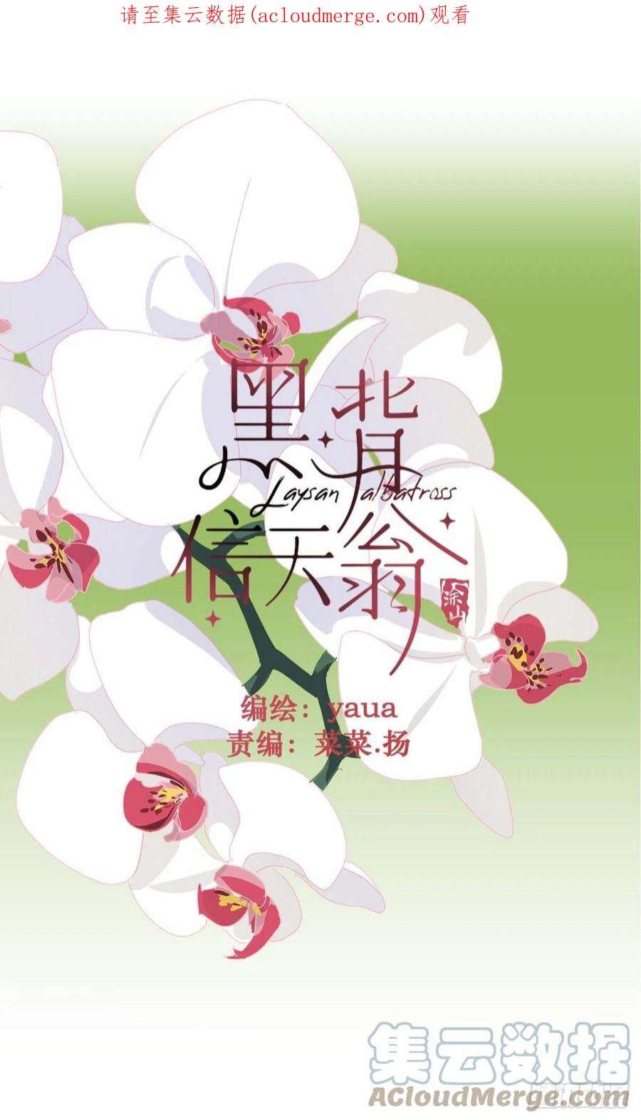 黑背信天翁63.加油！