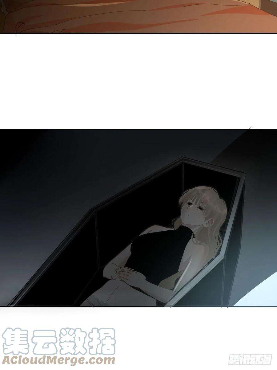 黑背信天翁63.加油！