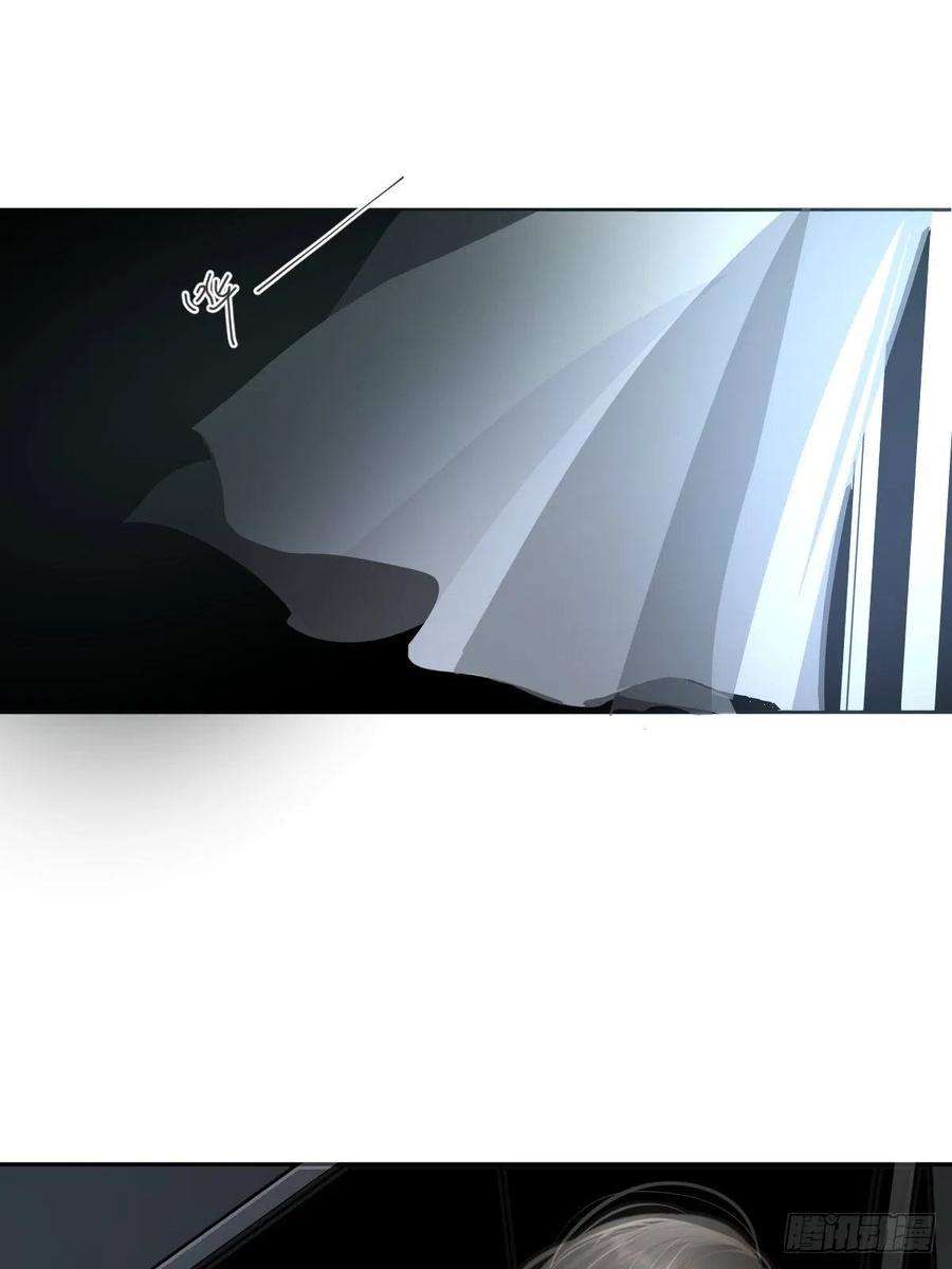 黑背信天翁63.加油！