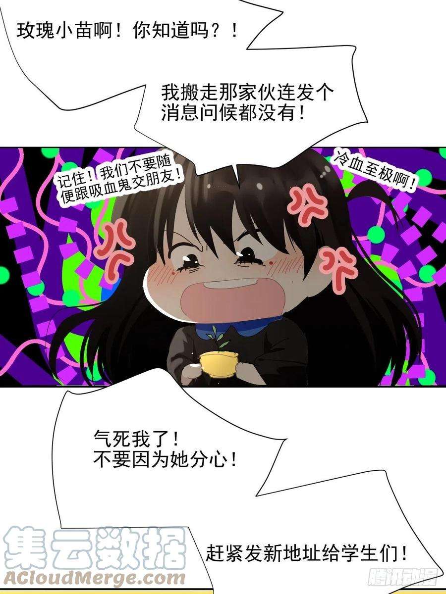 黑背信天翁65.小琪妈妈