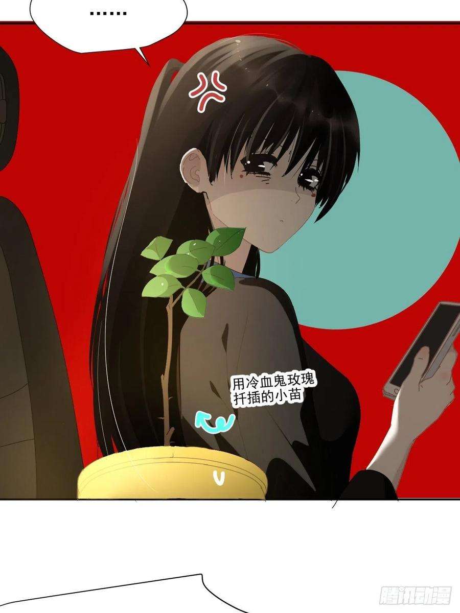 黑背信天翁65.小琪妈妈