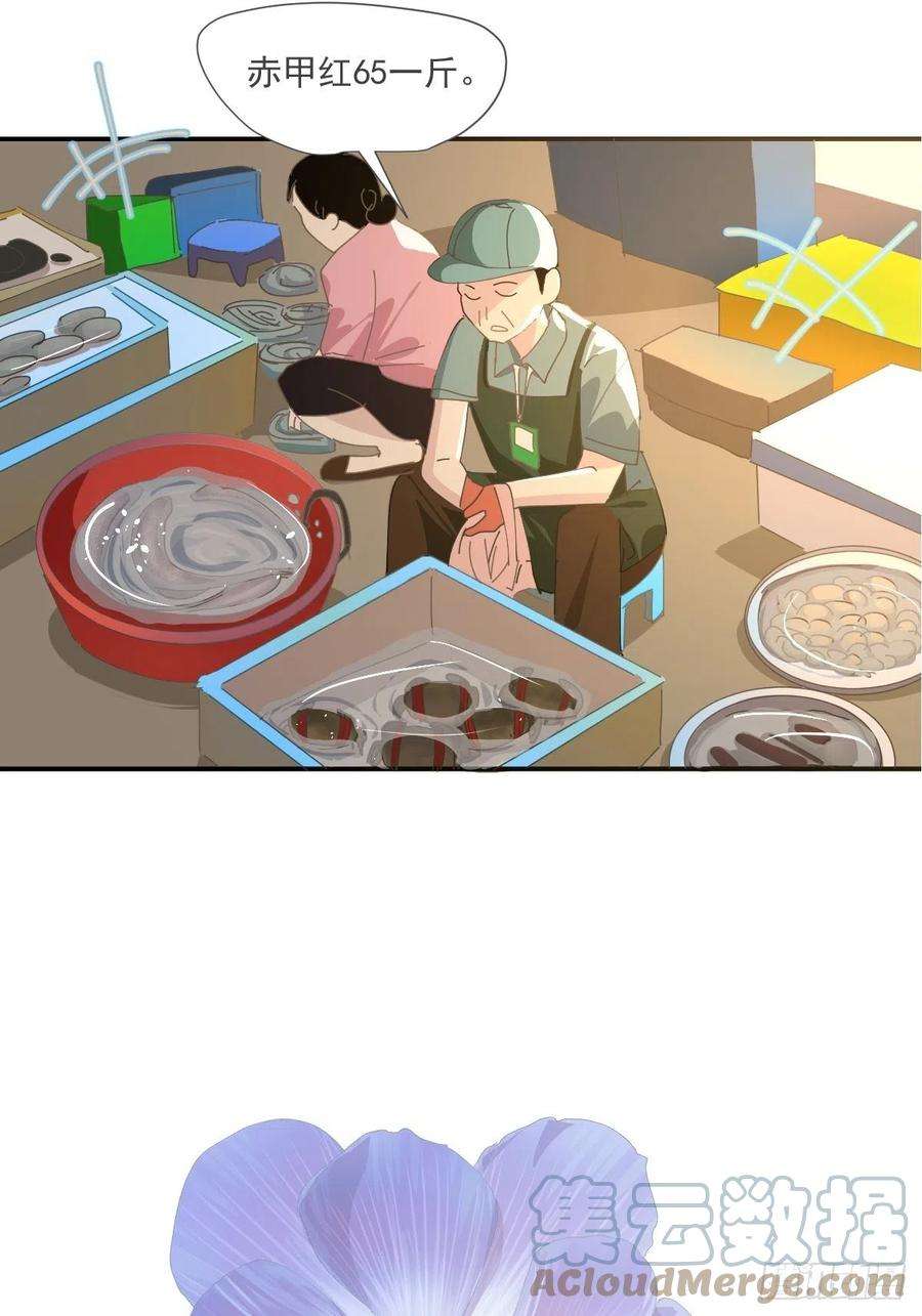 黑背信天翁67.小妈妈