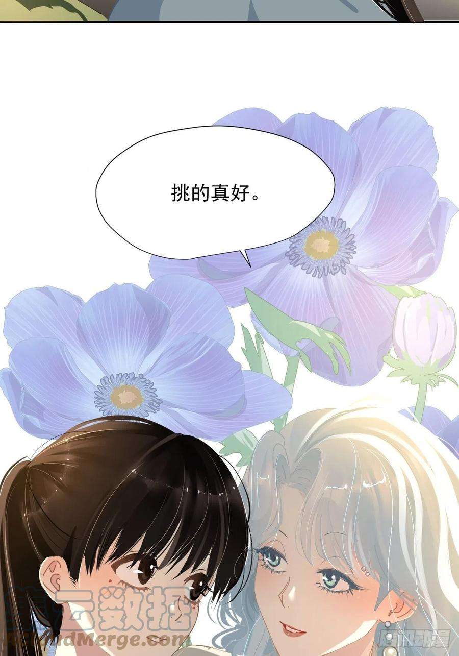 黑背信天翁68.挑的真好