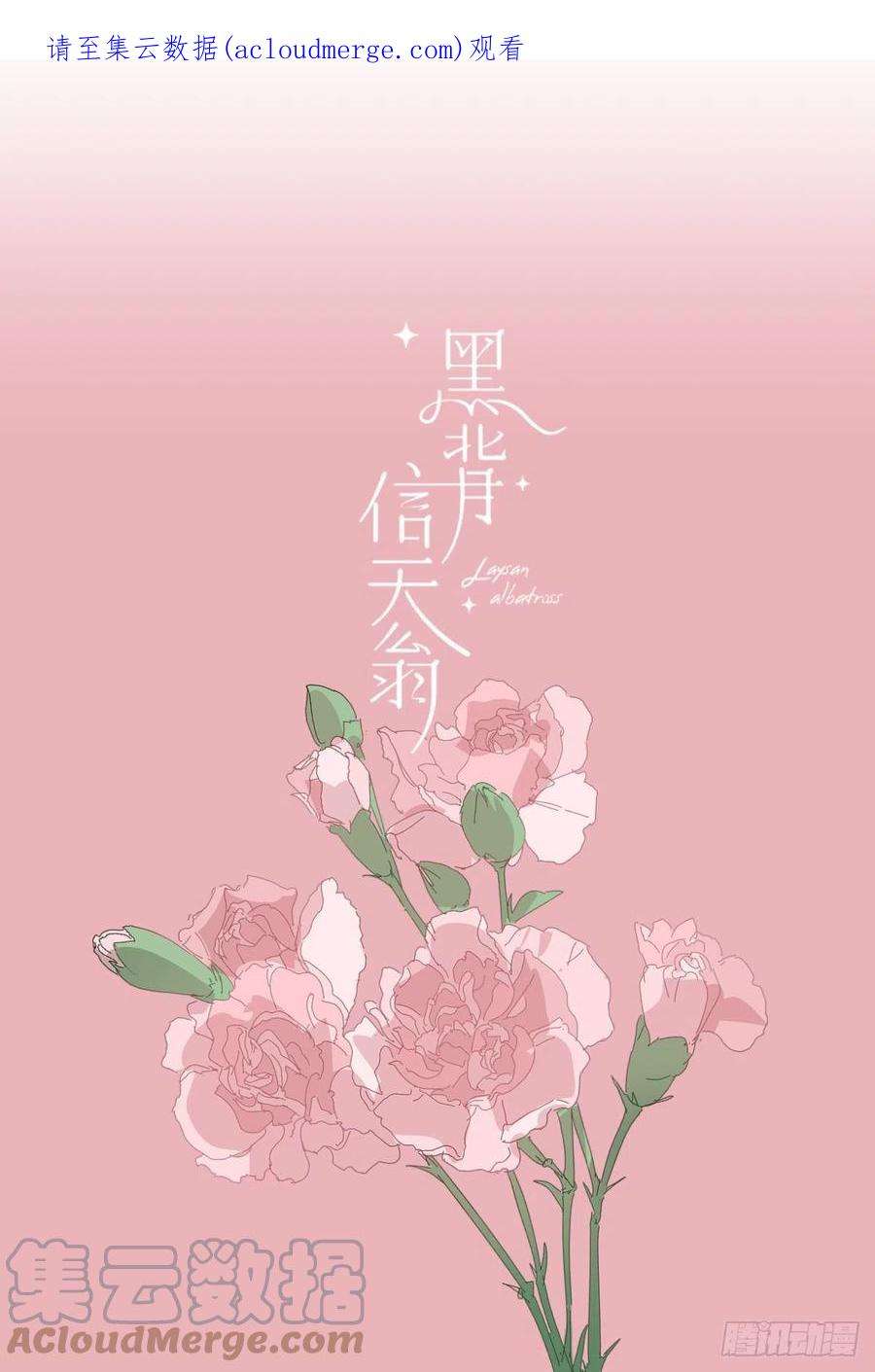 黑背信天翁69.你好