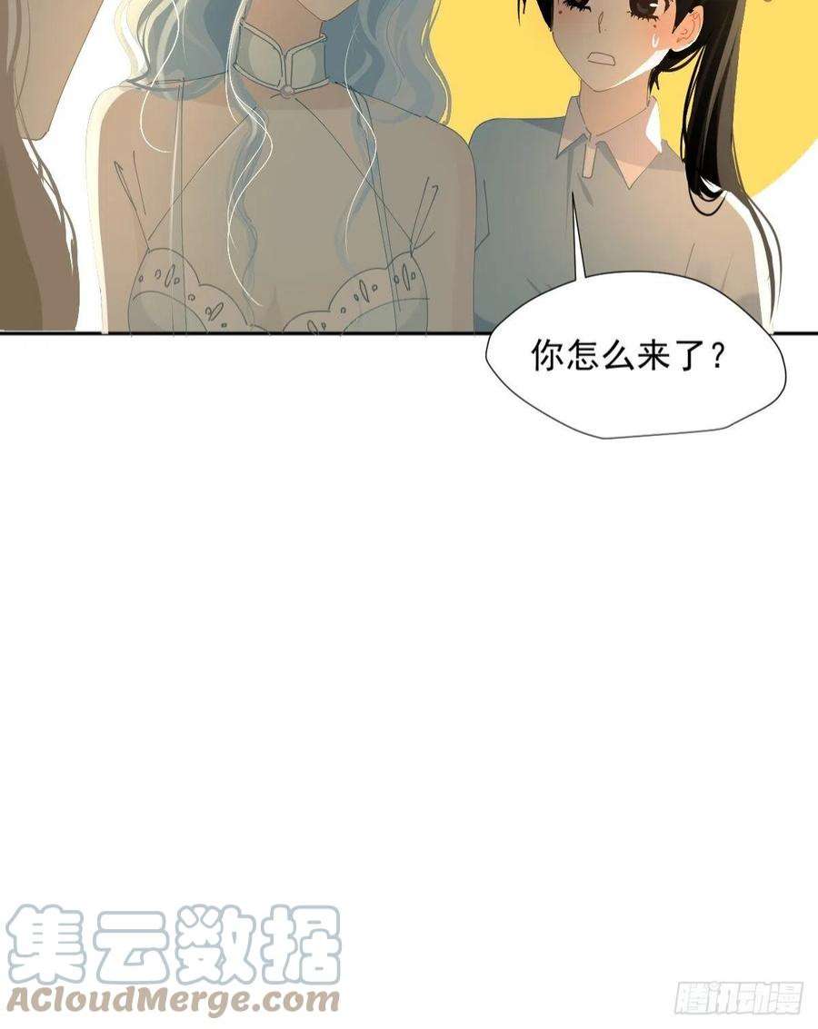 黑背信天翁69.你好