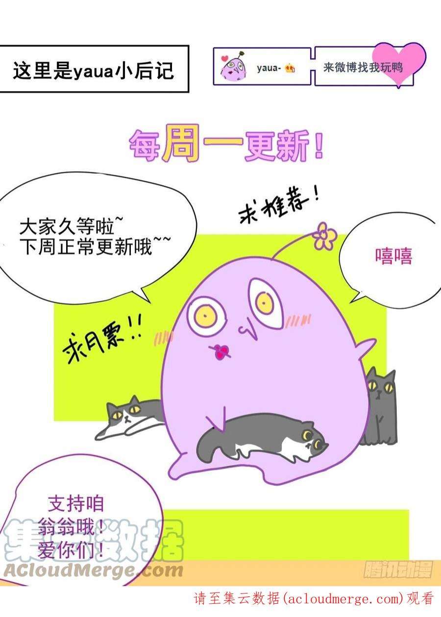 黑背信天翁69.你好