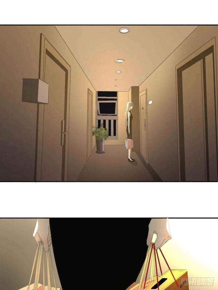 黑背信天翁69.你好