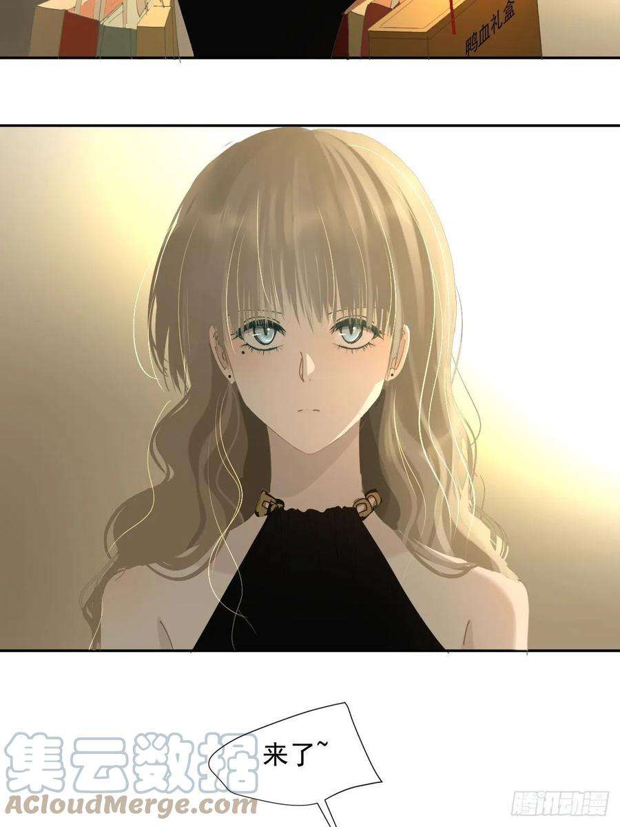 黑背信天翁69.你好