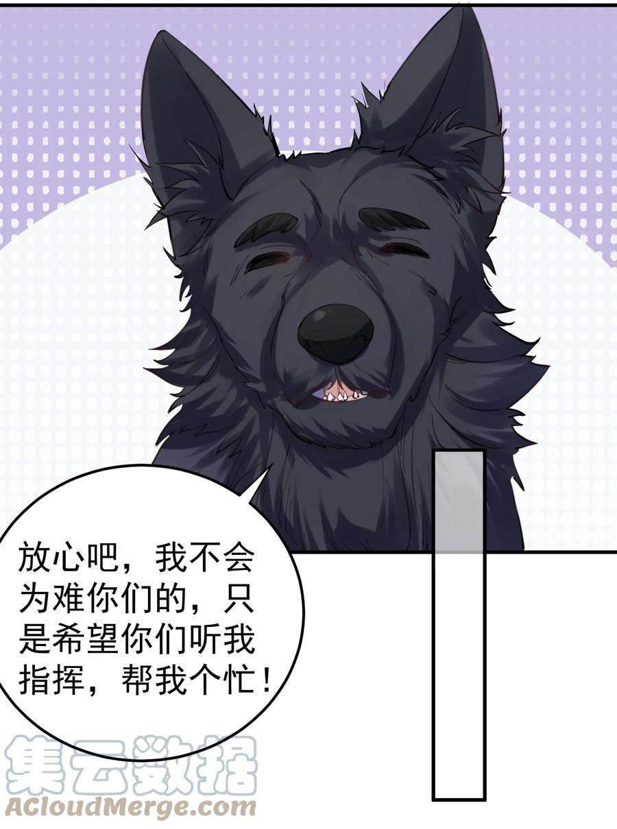 我什么时候无敌了052 元婴妖兽