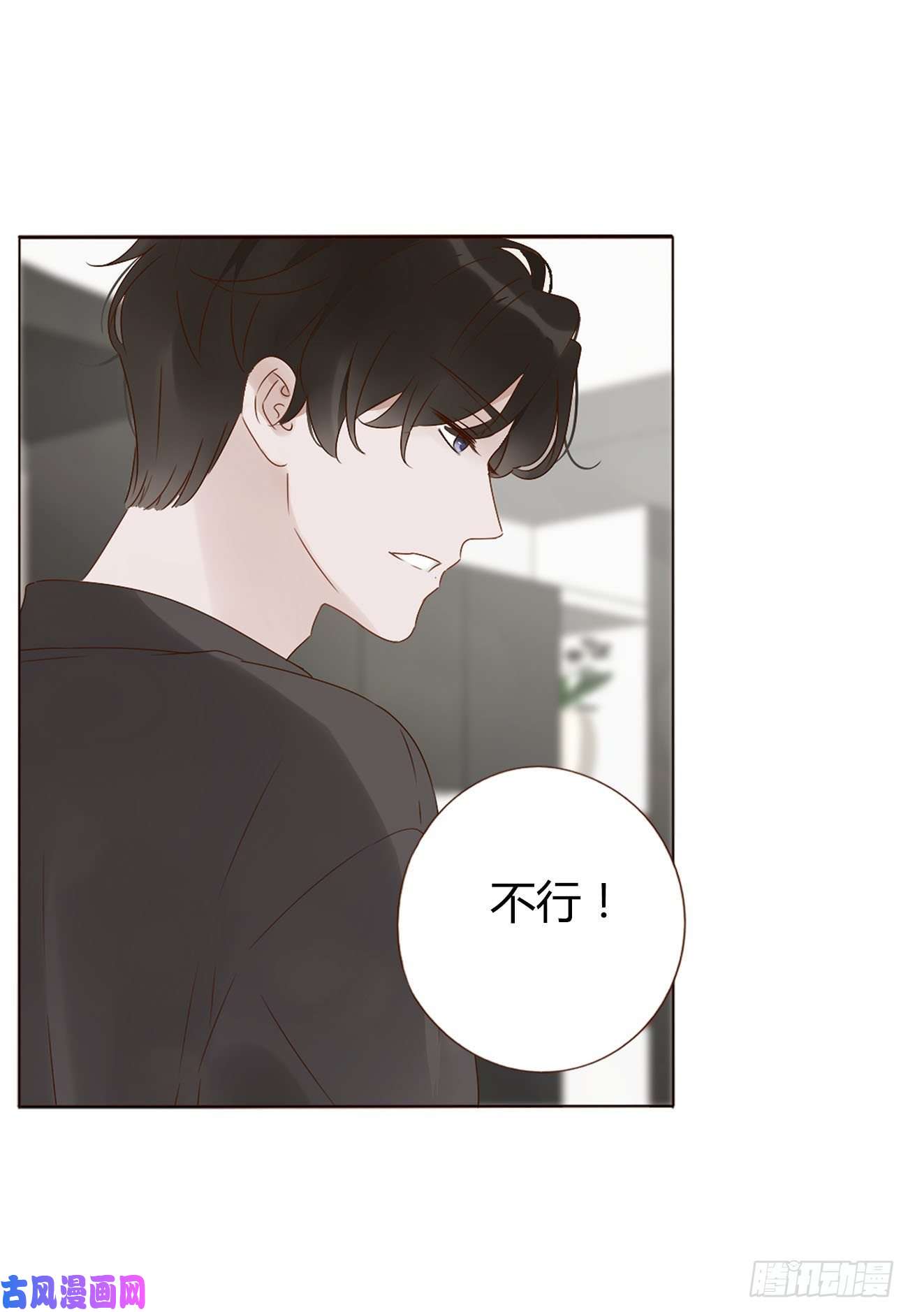 拥然入怀十七话 捡人情