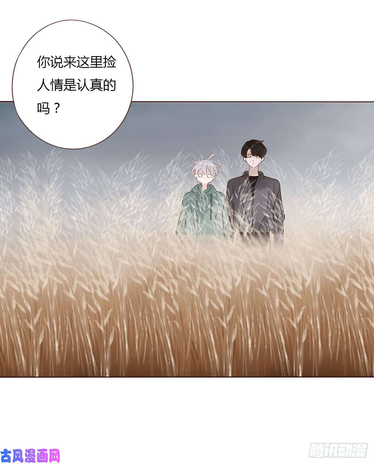 拥然入怀十七话 捡人情