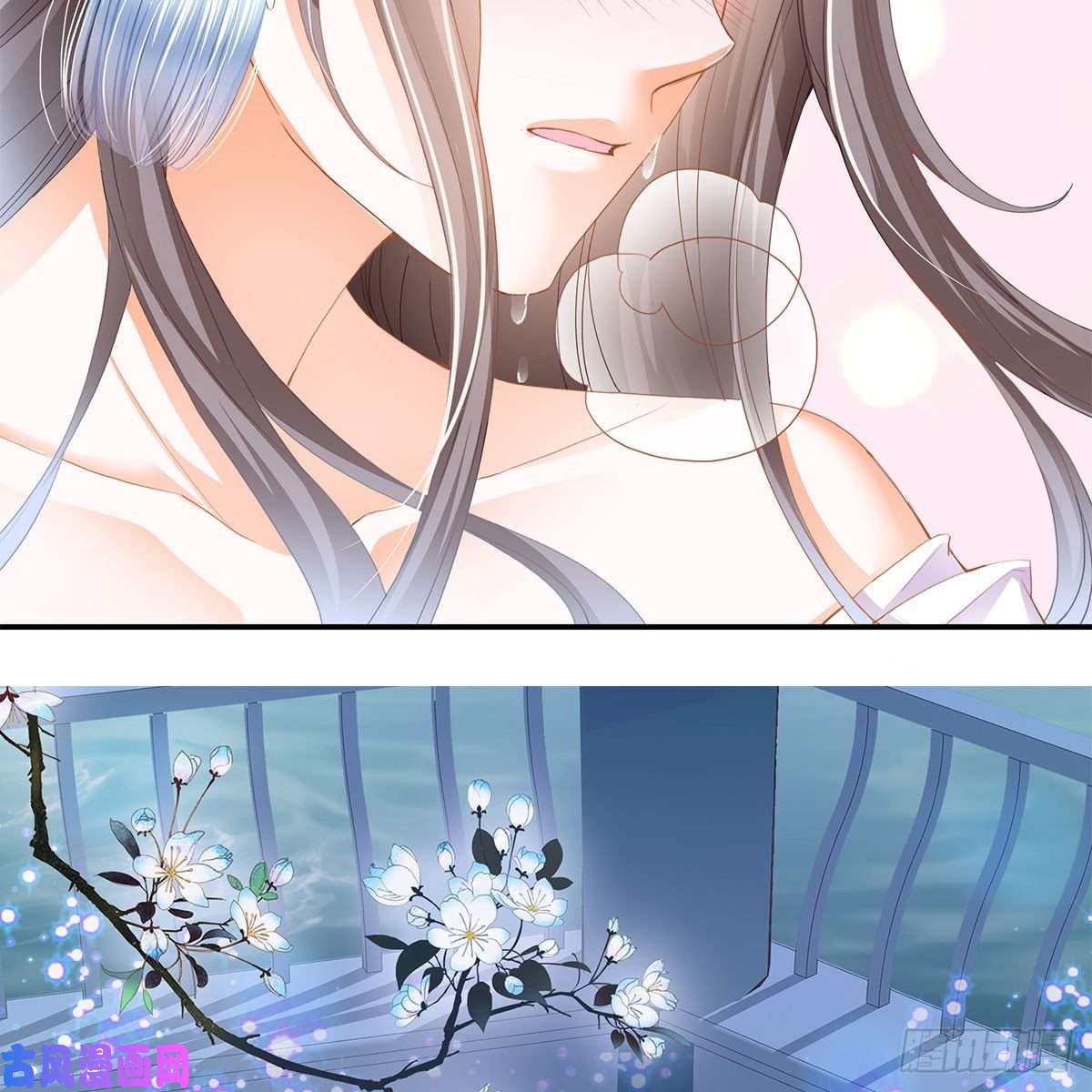 本王要你冷酷缠绵交织的夜晚