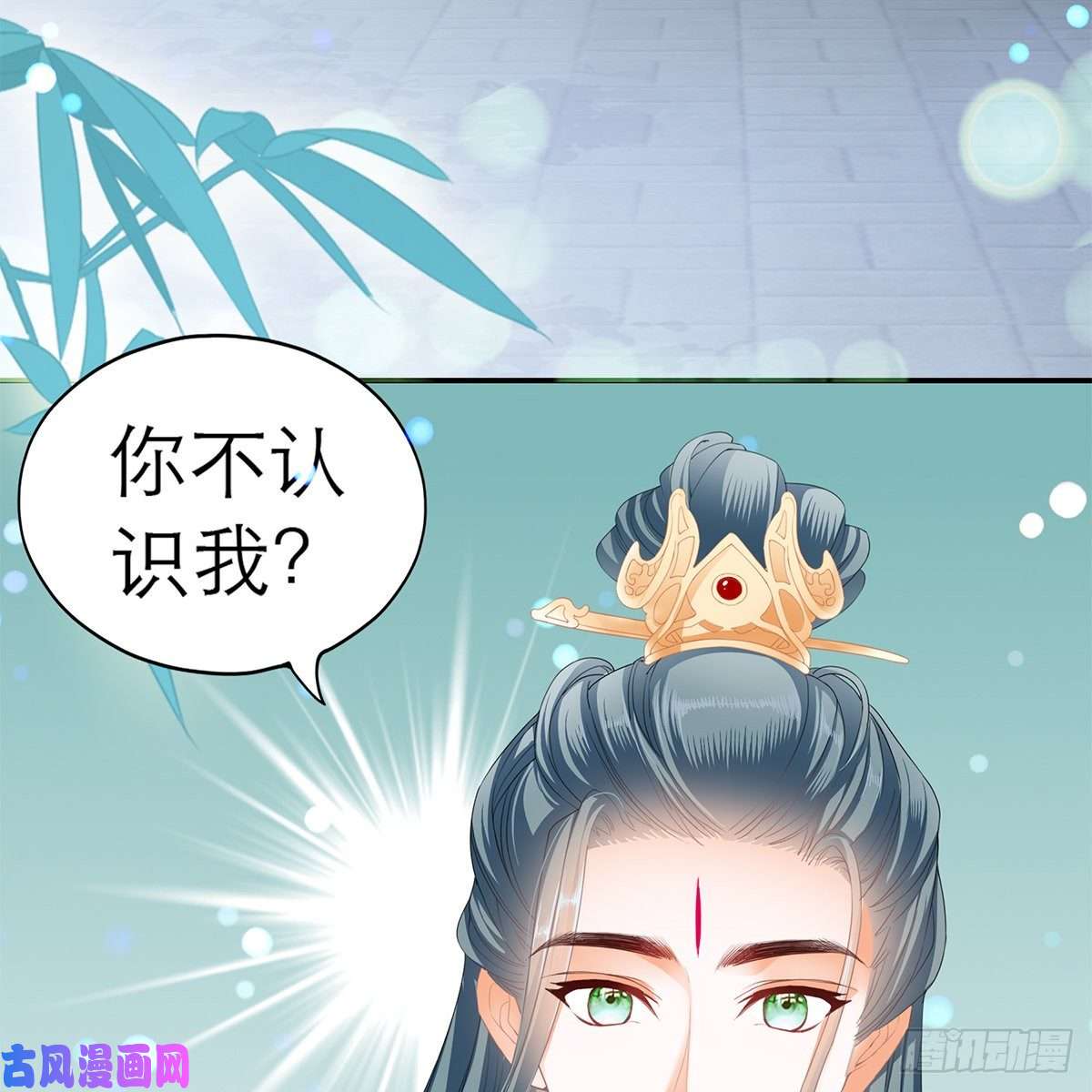 本王要你温暖的小武