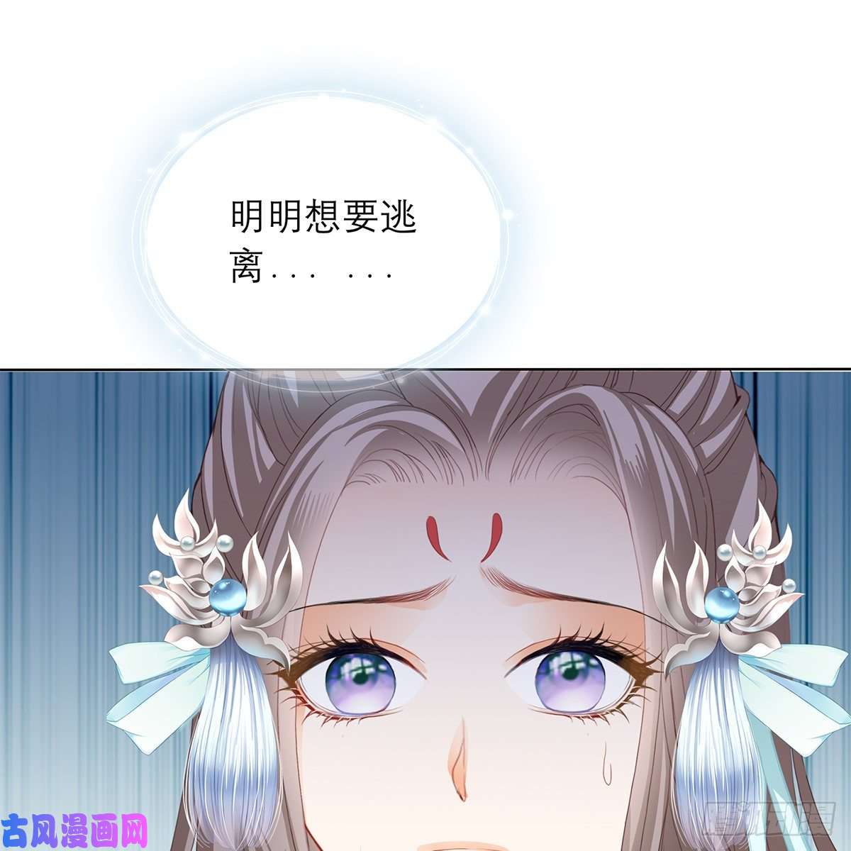 本王要你我知道她是谁