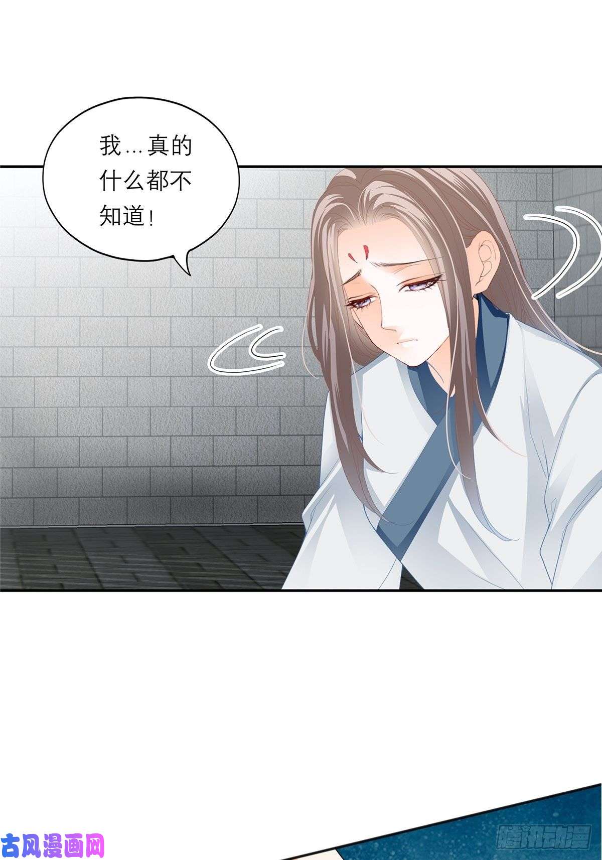 本王要你晨曦前的黑暗