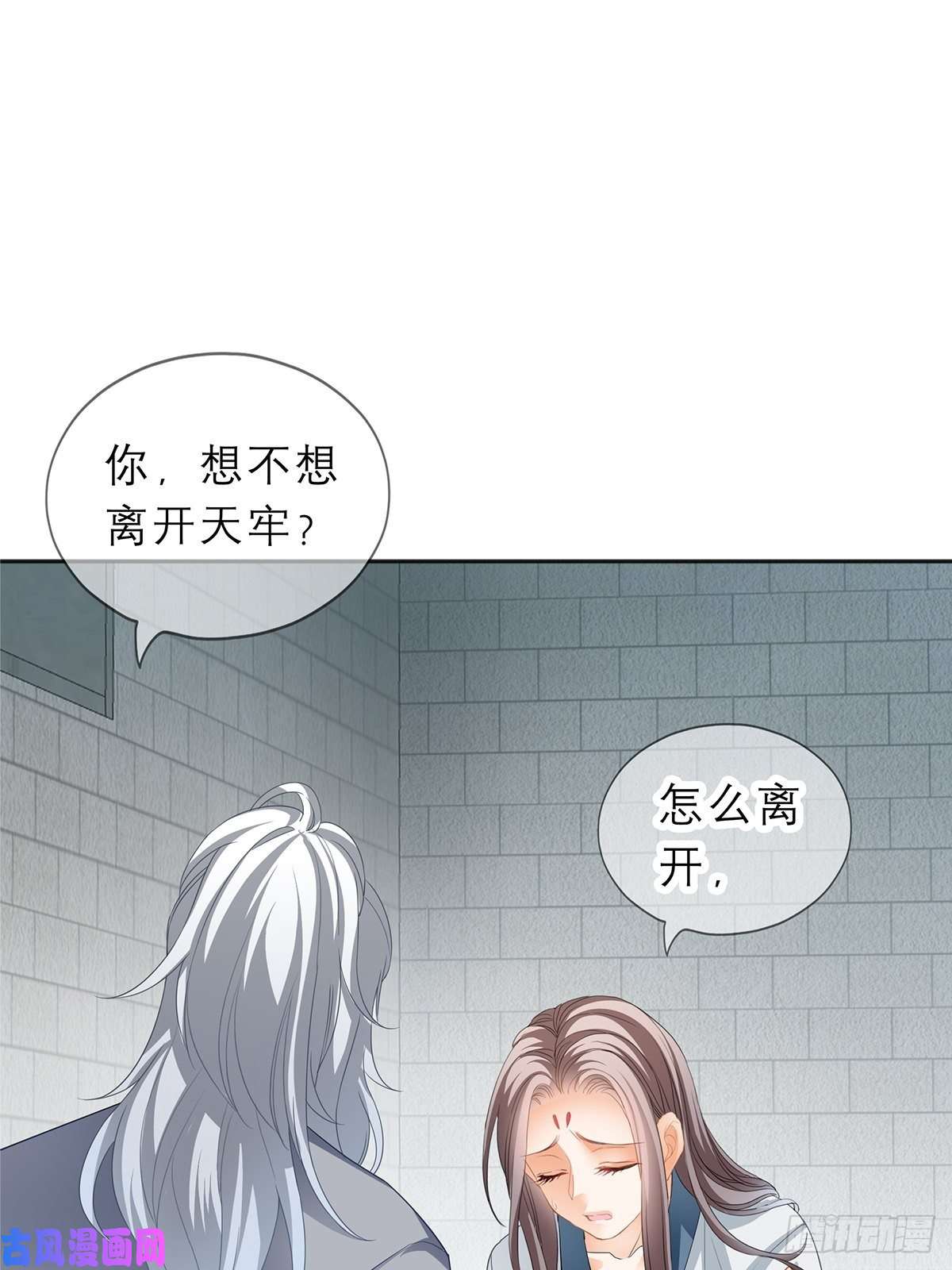 本王要你晨曦前的黑暗