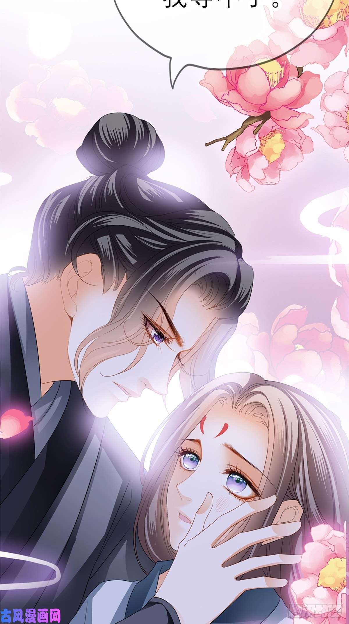 本王要你深夜偷欢