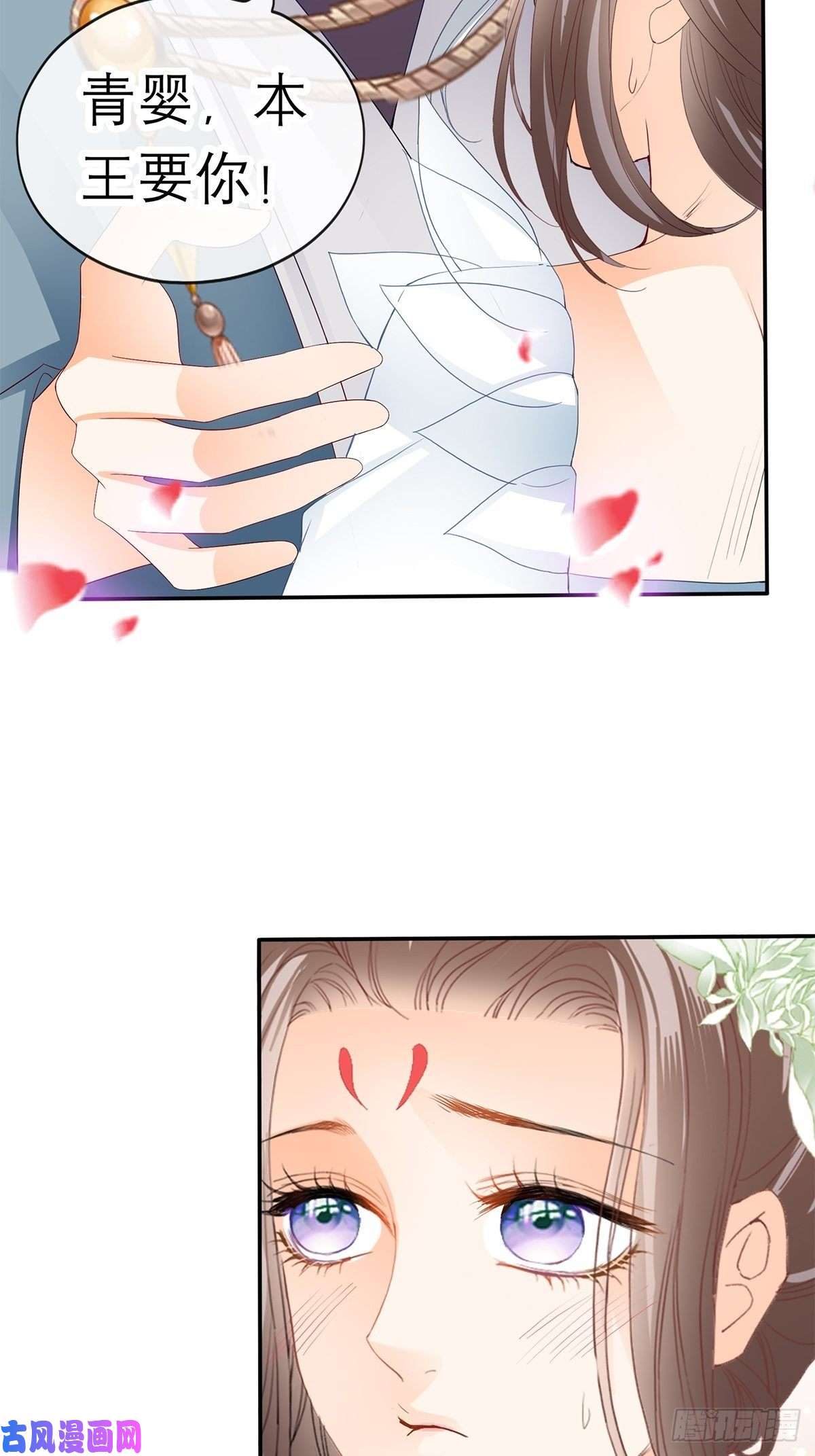 本王要你拥有你