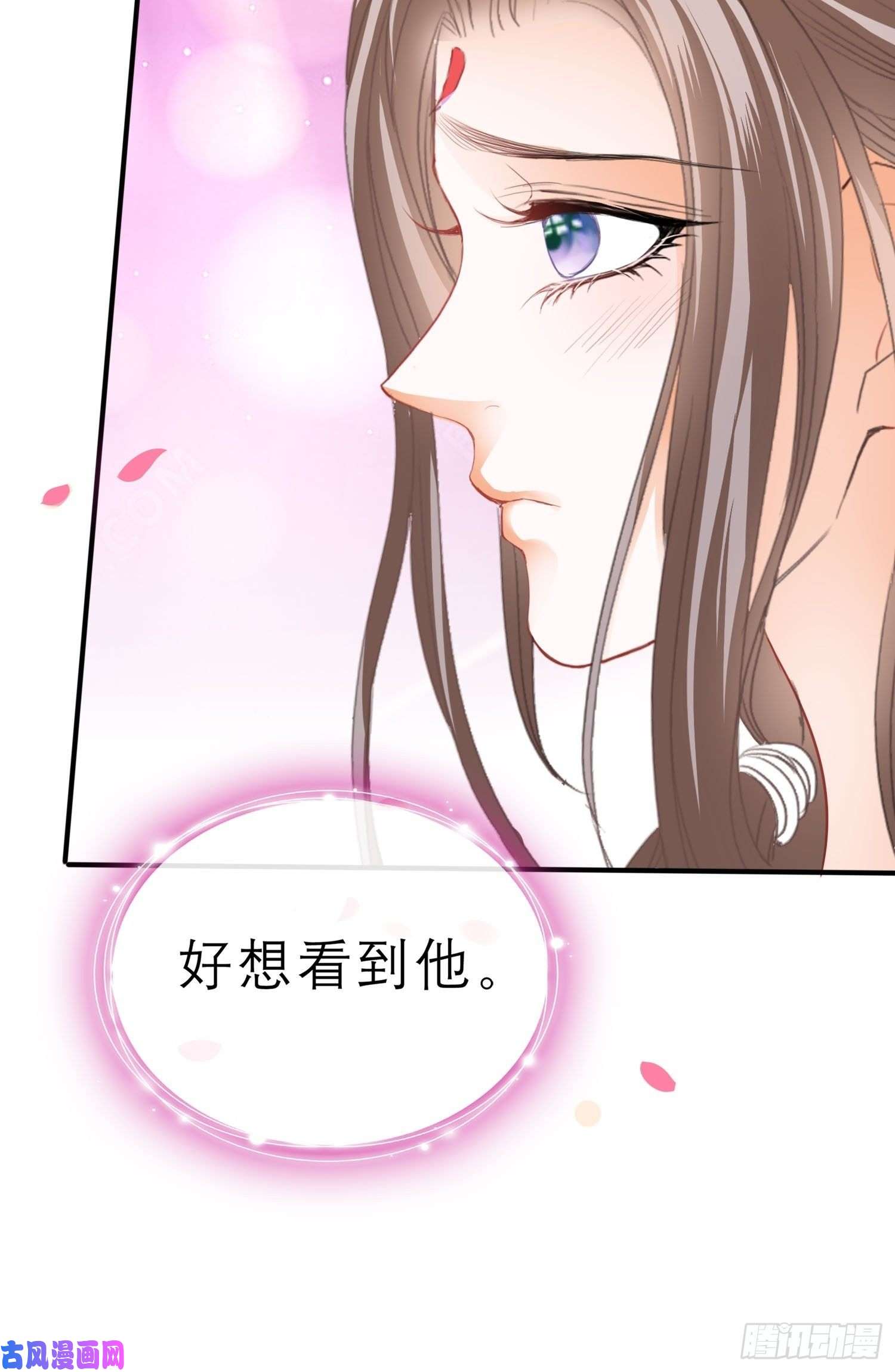 本王要你跟我走
