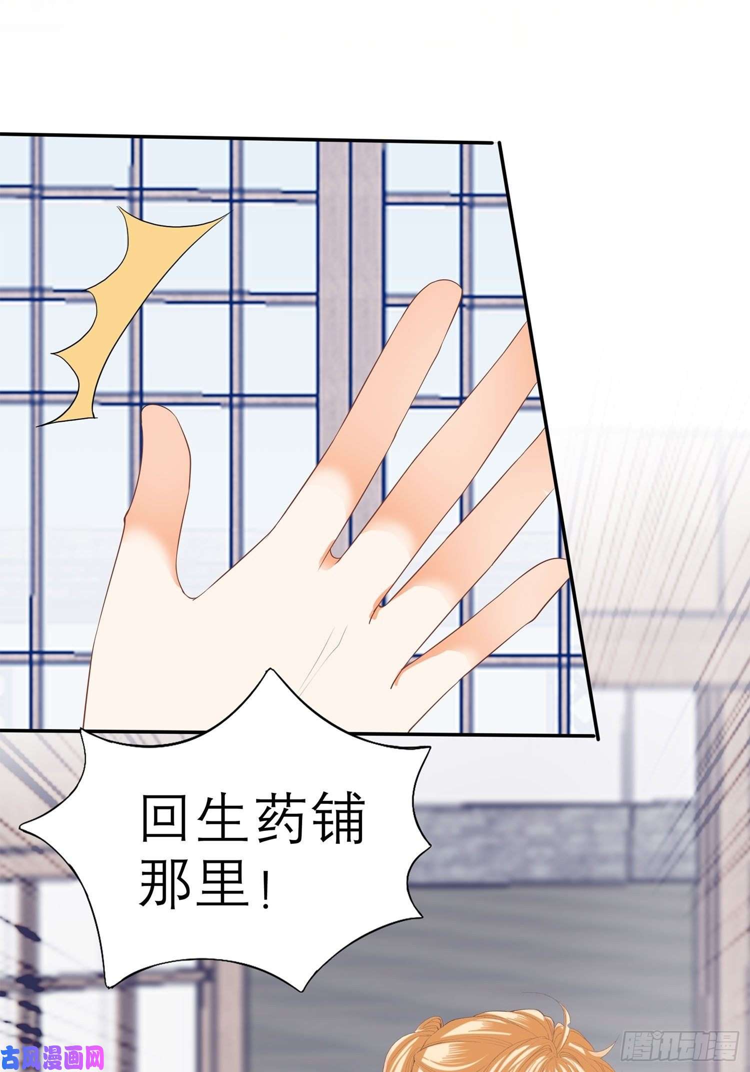 本王要你和解