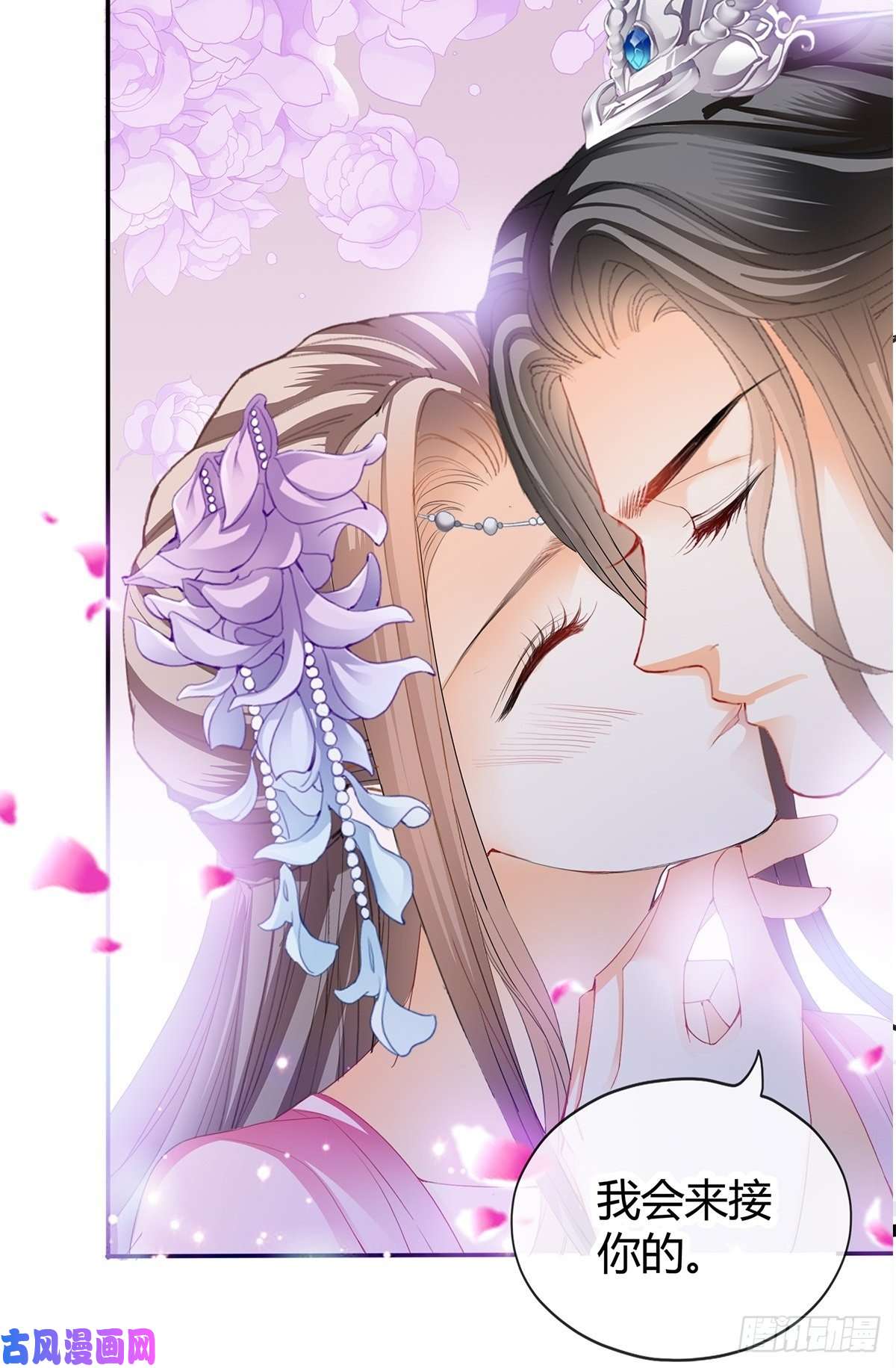 本王要你我替你去