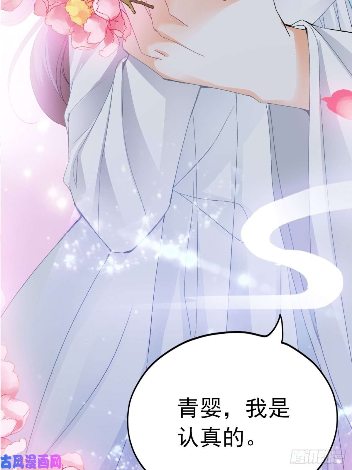 本王要你太子的告白