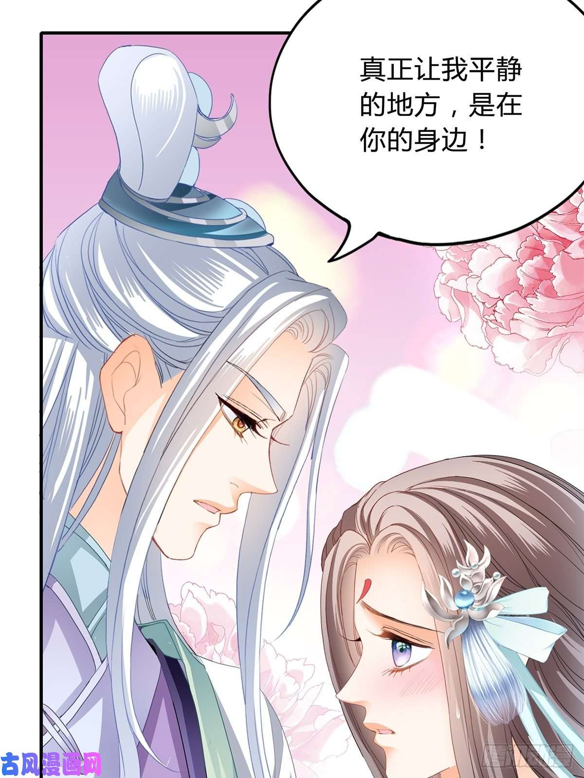 本王要你和我私奔吧